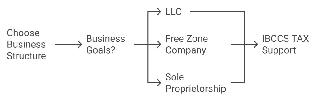 How to Choose the Right Business Structure UAE
