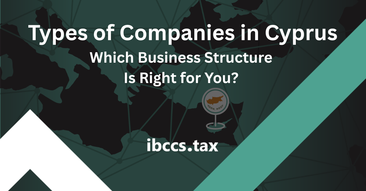 Types of companies in Cyprus explained